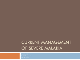 Current management of severe malaria