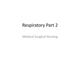 Lecture 6 Respiratory System cont.