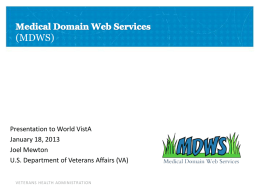 MDWS Executive Summary.2