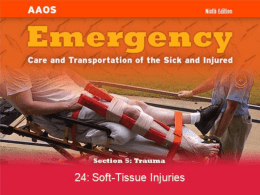 Chapter 24: Soft Tissue Injuries Part B