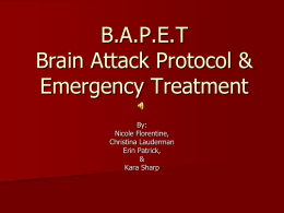 Bapet Inservice - Christina Lauderman