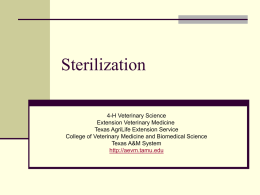 Sterilization - Extension Veterinary Medicine