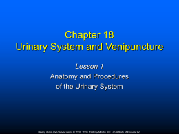 PPTChapter_18Urinary evolve