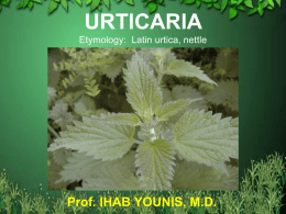 URTICARIA Etymology: New Latin urticria,Latin urtica, nettle