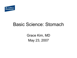 Basic Science: Stomach