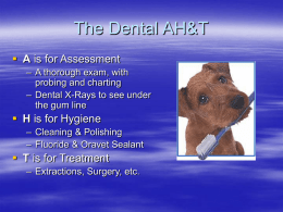 The Dental AH&T - Animal Medical Center