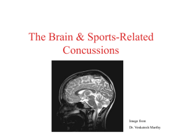 The Brain & Traumatic Injury