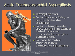 Acute tracheobronchial Aspergillus