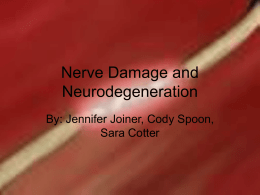 Nerve Damage and Degeneration