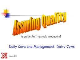 2008 QA Dairy Presentation - UNL Animal Science Assuring
