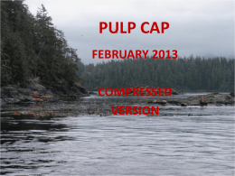 PULP CAP - Peter Walford Dentistry