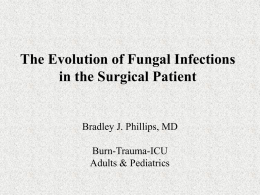 The Evolution of Fungal Infections in the Surgical Patient