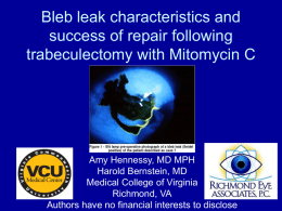Bleb leak characteristics and success of repair following