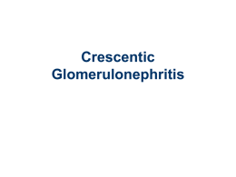 Crescentic Glomerulonephritis
