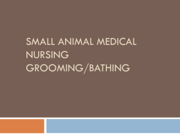 Small Animal Medical Nursing Grooming/Bathing/Etc.