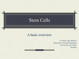 Stem Cells - Rovira i Virgili University