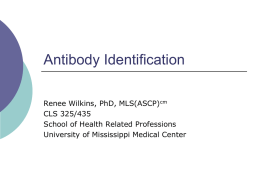 Antibody Identification