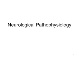 Neurological Pathophysiology