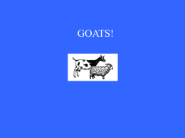 Reproduction in Goats? You`ve GOT to be Kidding!