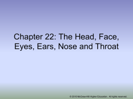 Chapter 27: The Head, Face, Eyes, Ears, Nose and Throat