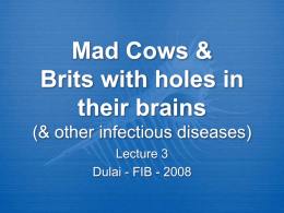 Mad Cows & Brits with holes in their brains & other