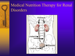 Medical Nutrition Therapy for Renal Disorders