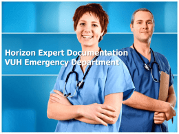 slides for vch Horizon Expert Documentation