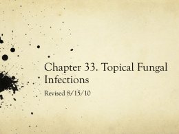Chapter 33 Fungus