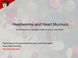 Heart Murmurs and Heartworms - PEER