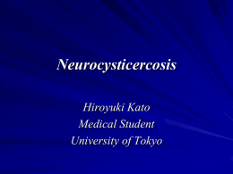 Neurocystirocercosis