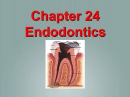 Chapter 18 Endodontics