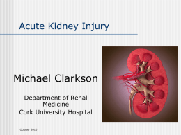 Acute Kidney Injury - Michael Clarkson