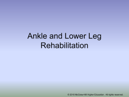 Chapter 19: The Ankle and Lower Leg