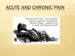 Pain lecture 2013