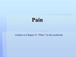 Pain-2005