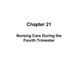 Nursing Care During the 4 th Trimester