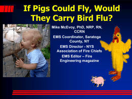If Pigs Could Fly, Would They Carry Bird Flu?