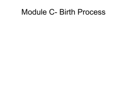 BirthProcess