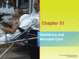 Chapter 31 PPT - Wilco Area Career Center