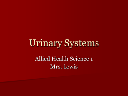 Urinary Systems