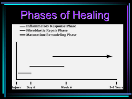 Phases of Healing & Goals of Rehabilitation