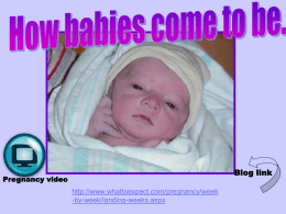 pregnancy labor and delivery ppt