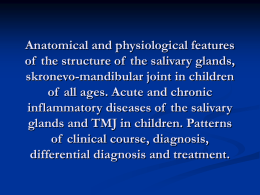 04. Anatomical features of the salivary glands