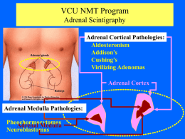 CSTCC NMT Program Adrenal Scintigraphy