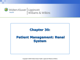 LWW PPT Slide Template Master