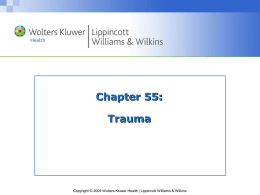 LWW PPT Slide Template Master