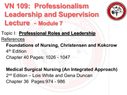 Professionalism & leadership lecture