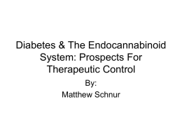 Diabetes & The Endocannabinoid System