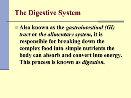 Peptic Ulcers