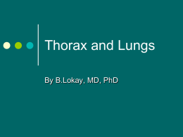 Assessment of Thorax and Lungs